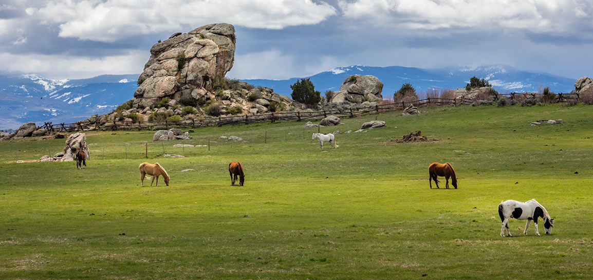 iconic brush creek ranch wyoming