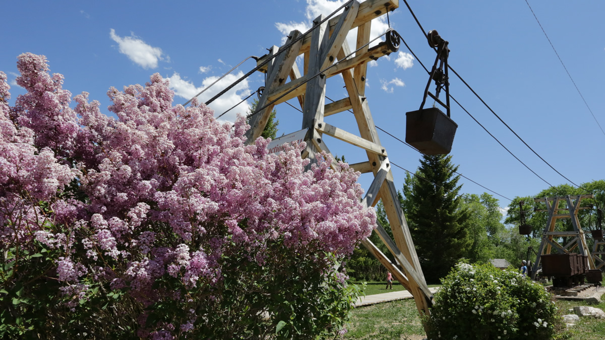 Grand Encampment Museum