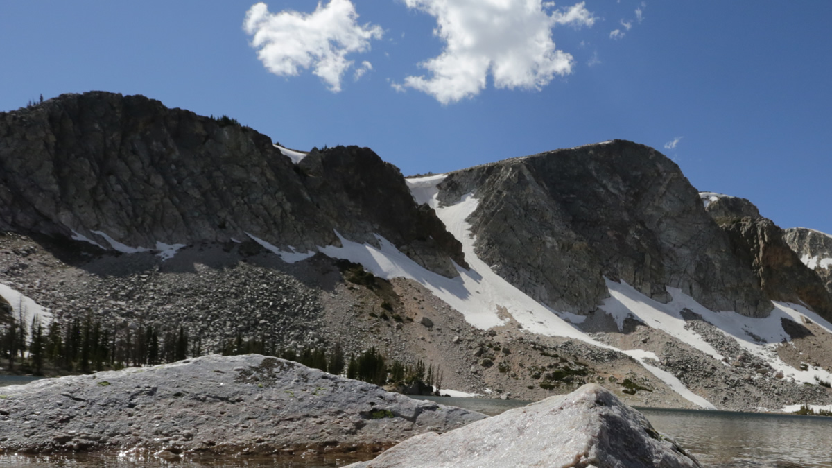 Medicine Bow National Forest